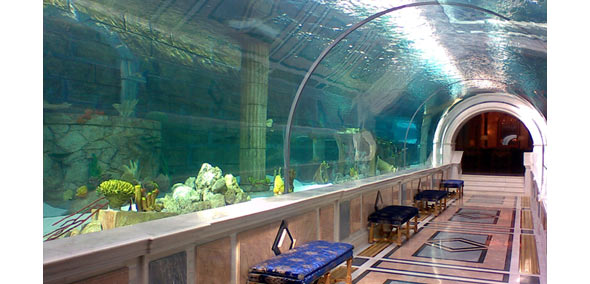 Acquari giganti… in Medio Oriente