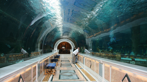Il tunnel in acrilico a lavori ultimati. Una impressionante volta di acqua salata... in mezzo al deserto.