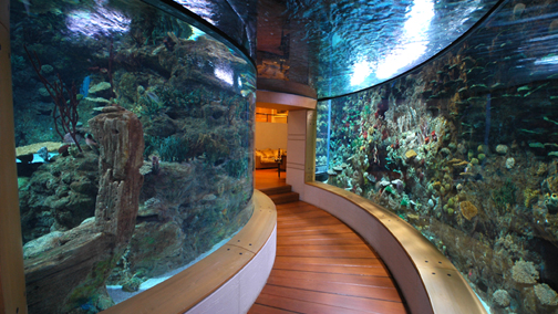 Iniziato nel 1999 questo enorme acquario privato è stato progettato e realizzato dalla Issham Acquatics, che ne cura tuttora la manutenzione.