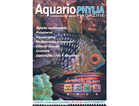 Disponibile il numero 6 della rivista gratuita Aquariophylia