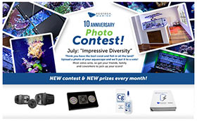 Concorso Ecotech Marine con tantissimi premi