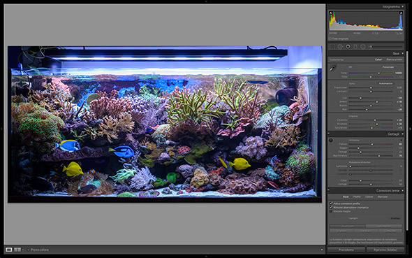 L’Acquario come fotografarlo: Corso di fotografia parte III – La postproduzione delle foto