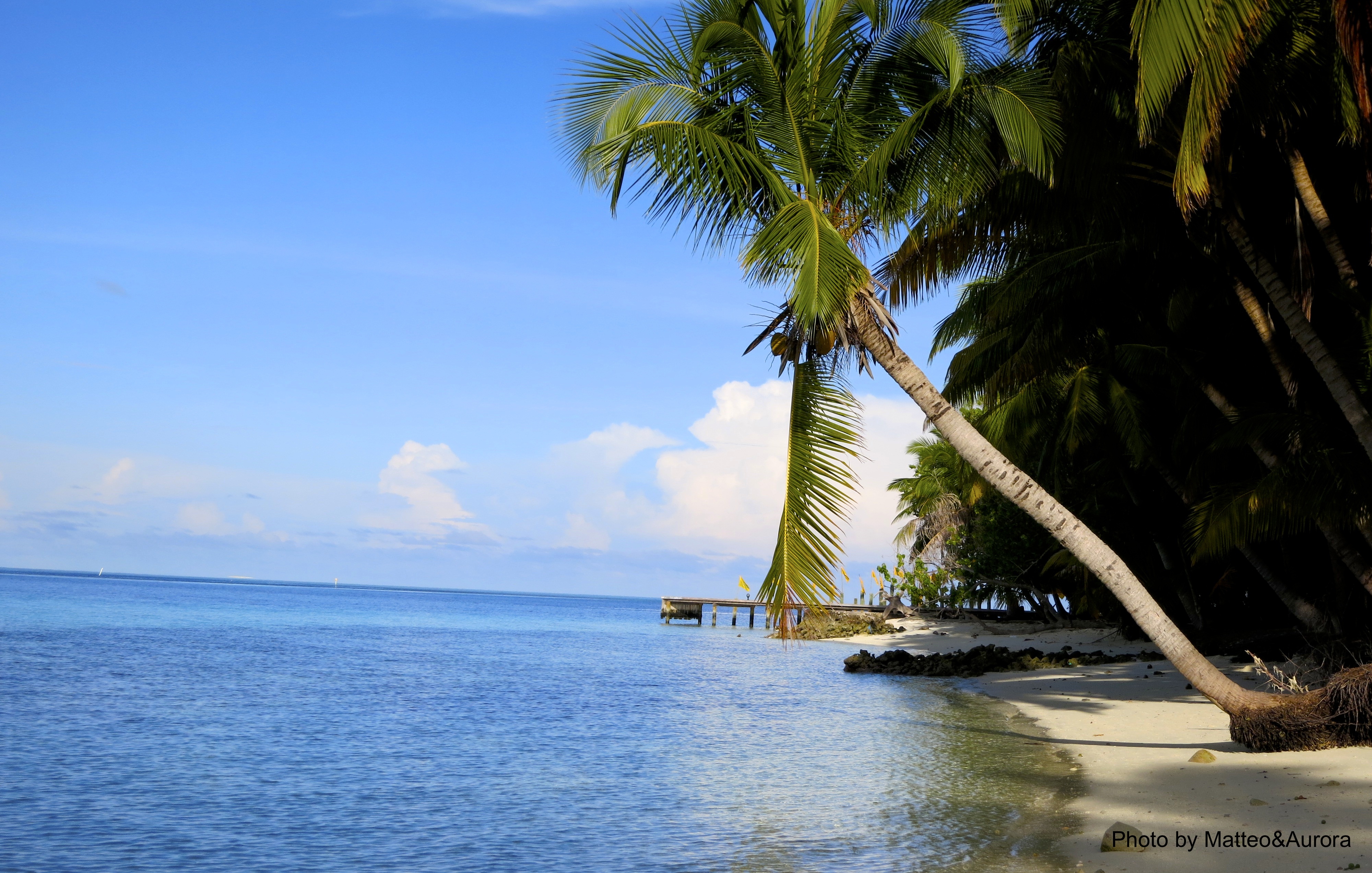 Due tesisti alle Maldive a studiare i coralli