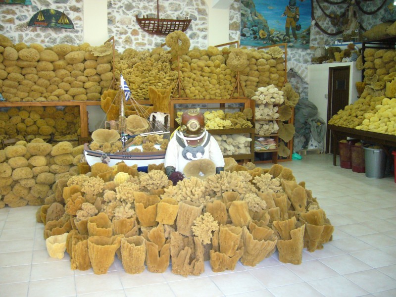 shop sponges