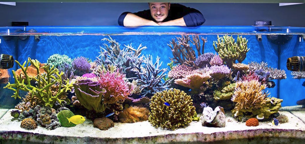 acquario marino di paolo piccinelli
