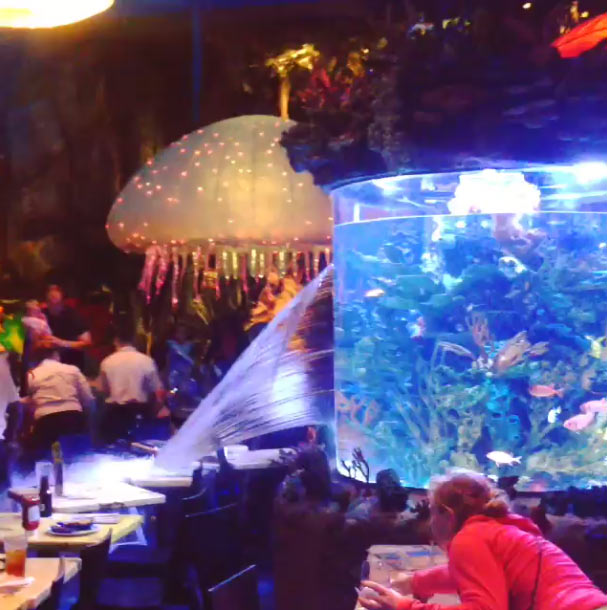 incidente acquario