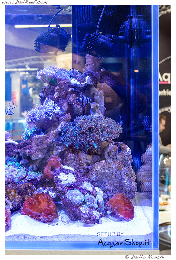 Interzoo 2014: Lo stand Newa con i nuovi riscaldatori Newa Therm e gli acquari Newa More