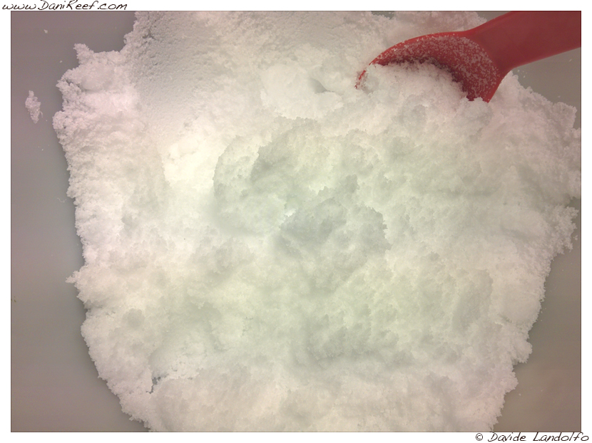 Il cambio d’acqua in acquario marino – 10 esperti internazionali a confronto