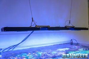 2015_01_ecotech_marine_radion_xr30w_installazione_3