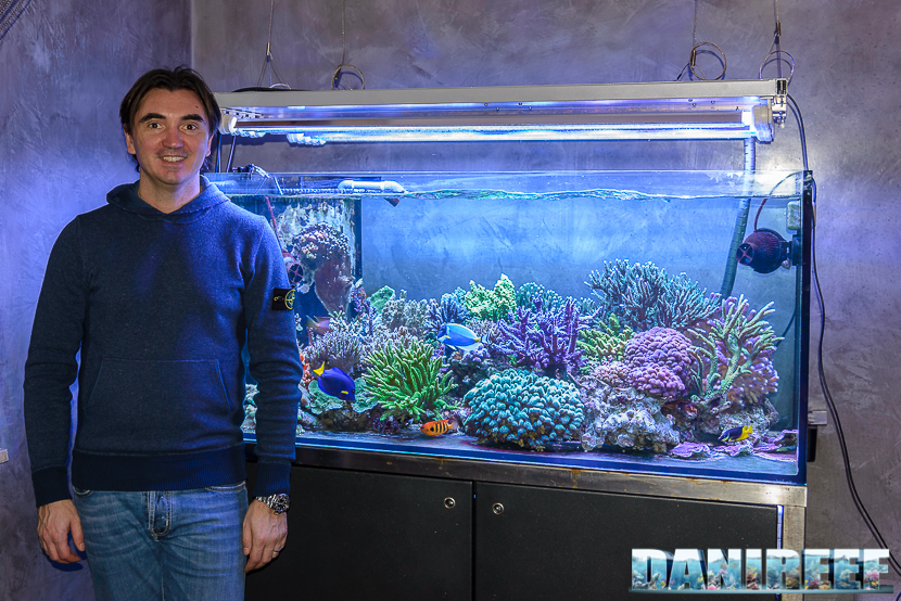 L'Acquario di Massimiliano Ghelfi