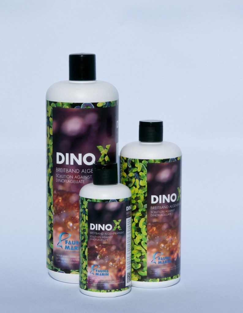 Fauna Marin DinoX
