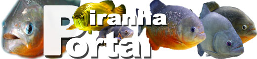 piranhaportal