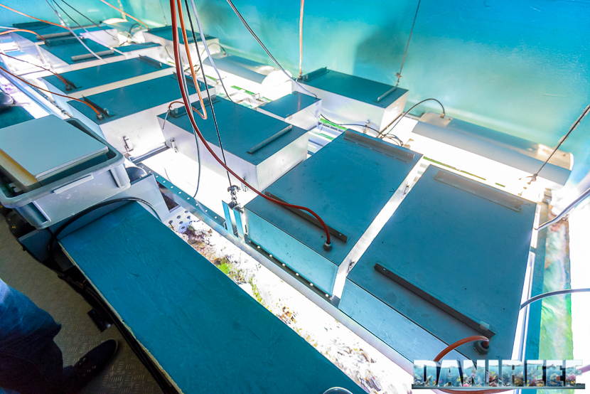 Il sistema di illuminazione dell'acquario Il sistema di illuminazione dell'acquario