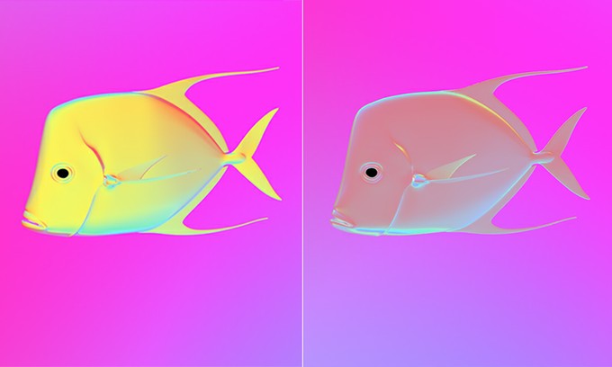 Pesce selene, vista polarizzata