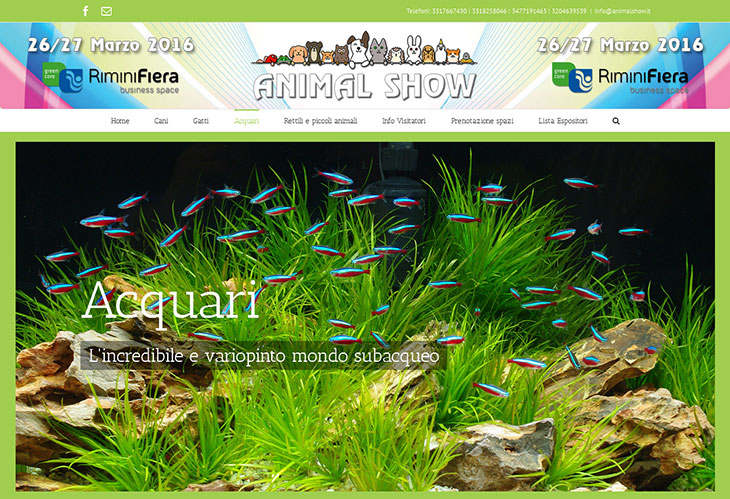 animal show Rimini 2016 animal show Rimini 2016
