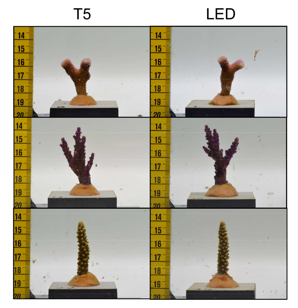 materiale sostenibile e biodegradabile