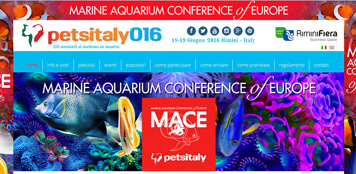 Mace - Petsitaly 2016 a Rimini Mace - Petsitaly 2016 a Rimini