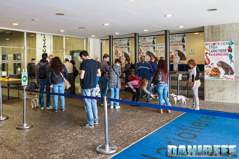 Esotika Milano 2016 ad Erba – Editoriale