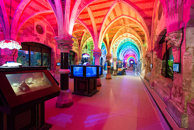 L'acquario di Brighton, in Inghilterra è l'acquario pubblico ancora attivo più vecchio del mondo. L'acquario di Brighton, in Inghilterra è l'acquario pubblico ancora attivo più vecchio del mondo.
