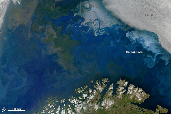 Fioritura di fitoplancton nel mar Barents a largo delle coste di Norvegia e Russia. Foto non elaborata effettuata dal satellite NASA Aqua il 10 Luglio 2014. Credits: NASA's Earth Observatory Fioritura di fitoplancton nel mar Barents a largo delle coste di Norvegia e Russia. Foto non elaborata effettuata dal satellite NASA Aqua il 10 Luglio 2014. Credits: NASA's Earth Observatory
