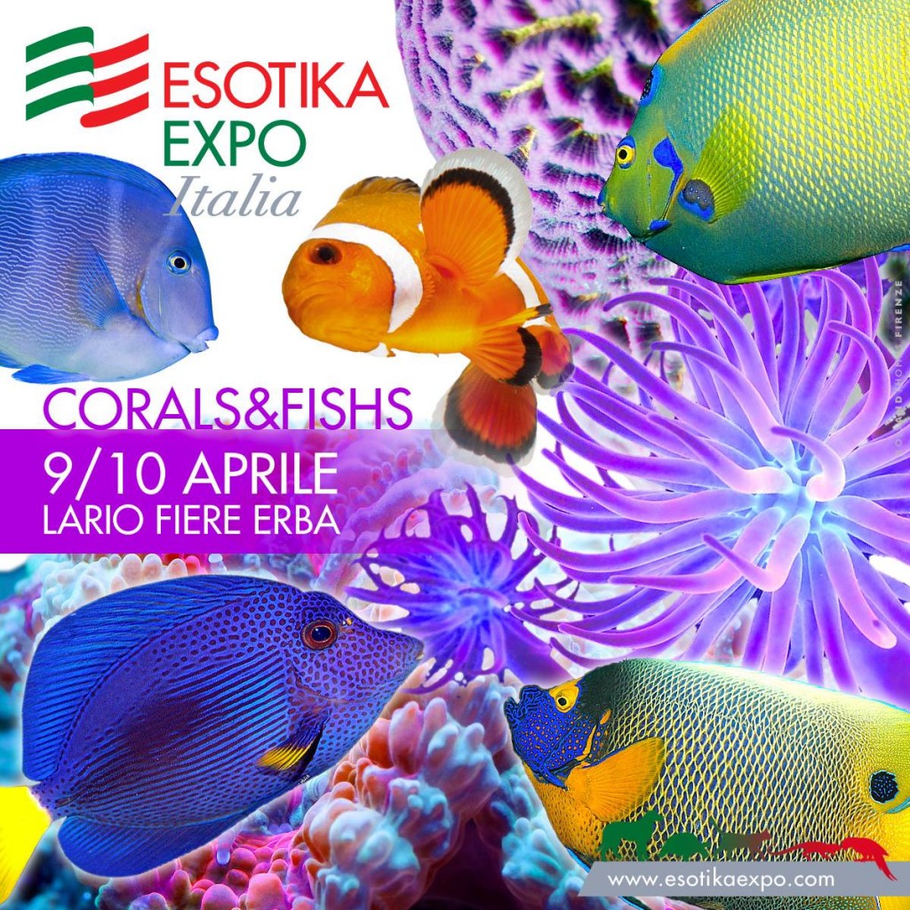 esotika milano
