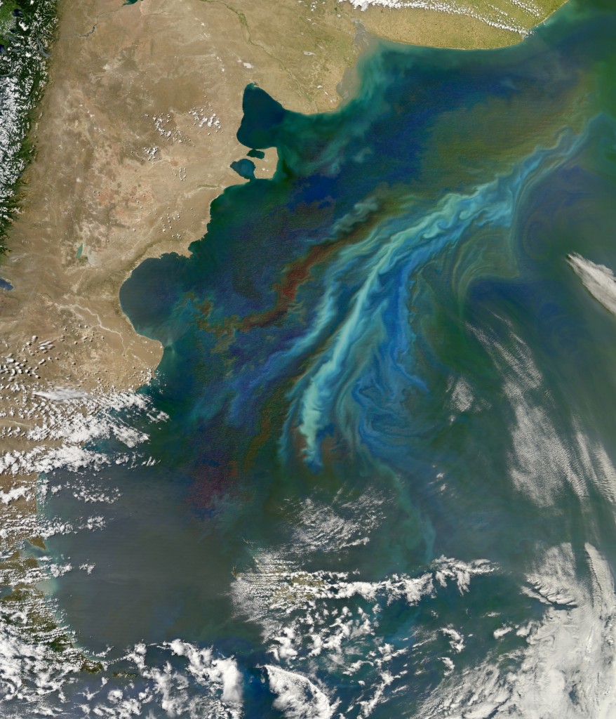 Foto satellitare delle acque a largo della Patagonia (Sud America). I vortici di colore verde chiaro sono fioriture di fitoplancon lungo le direttrici della corrente oceanica. Uno studio della NASA ha evidenziato come le nubi sovrastanti queste zone riflettano la luce solare in maniera molto più evidente del normale. Stando a quanto riportato, nella stagione estiva si arriverebbe ad avere quasi il doppio della concentrazione di gocce d'acqua rispetto a quelle che si formerebbero sopra un tratto di mare biologicamente morto. Credits: NASA's Earth Observatory Foto satellitare delle acque a largo della Patagonia (Sud America). I vortici di colore verde chiaro sono fioriture di fitoplancon lungo le direttrici della corrente oceanica. Uno studio della NASA ha evidenziato come le nubi sovrastanti queste zone riflettano la luce solare in maniera molto più evidente del normale. Stando a quanto riportato, nella stagione estiva si arriverebbe ad avere quasi il doppio della concentrazione di gocce d'acqua rispetto a quelle che si formerebbero sopra un tratto di mare biologicamente morto. Credits: NASA's Earth Observatory