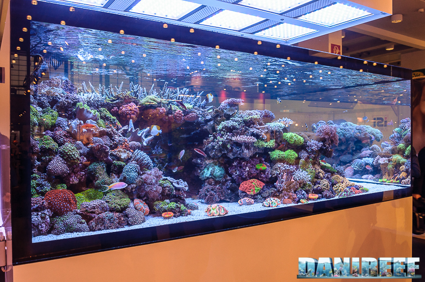 Acquario di DeJong MarineLife a Norimberga