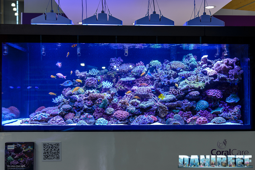 Acquario di DeJong MarineLife a Norimberga