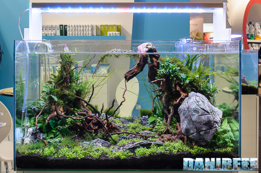 Un curatissimo allestimento dolce con impiego di Aquario NEO Soil Compact.