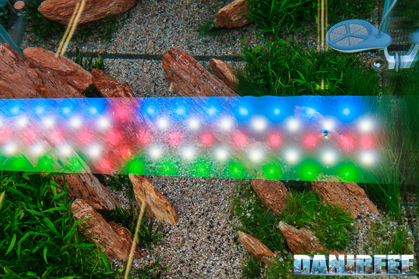 Il riflesso a pelo d'acqua della Plafoniera Twinstar Light 600E ci permette di apprezzare il posizionamento e la distribuzione dei quattro tipi di led. 2016_05 Interzoo Norimberga twinstar 2183