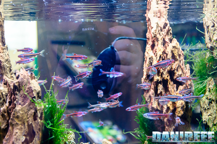 2016_05 Interzoo Norimberga zetlight 16 2016_05 Interzoo Norimberga zetlight 16