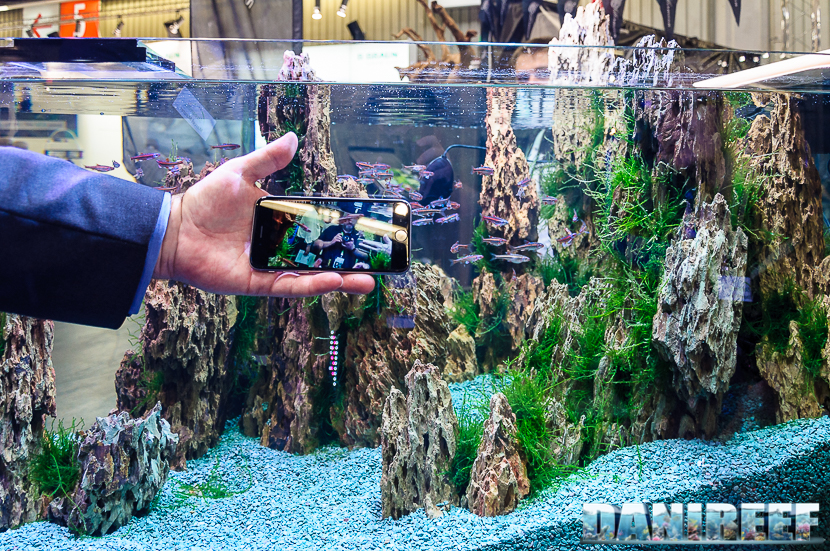 2016_05 Interzoo Norimberga zetlight 17 2016_05 Interzoo Norimberga zetlight 17