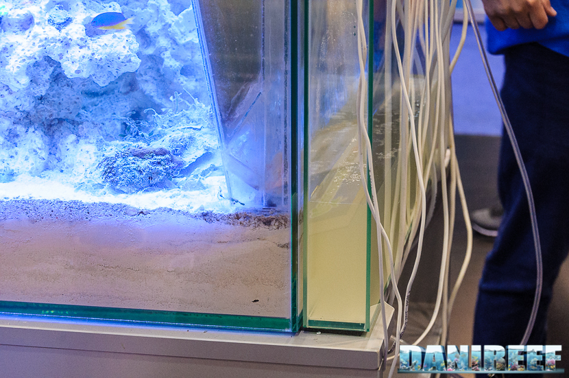 Particolare del vano di raccolta dello schiumato. Nella parte sinistra si può apprezzare la costituzione del Bioreactor come concepito da Aquanetta. 2016_05 Interzoo Norimberga Aquanetta Bioreactor 10
