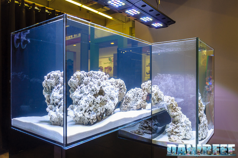Particolare dell'acquario Ifalos Seriphos. Solidi compenetrati per un gioco di riflessi e prospettiva. 2016_05 Interzoo Norimberga Ifalos acquari di design 19