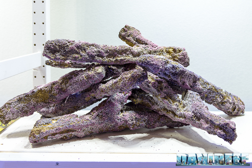 2016_05 Interzoo Norimberga carib sea 625 2016_05 Interzoo Norimberga carib sea 625