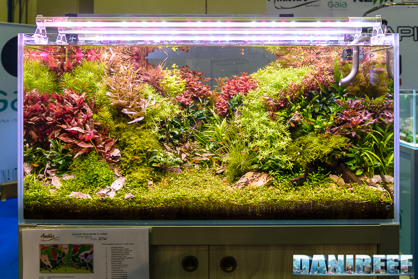 201610-aquascaping-gaia-petsfestival-96-copyright-by-danireef