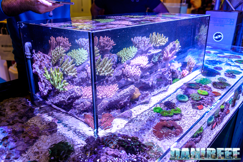 201610-hobby-acquari-layout-petsfestival-reefline-43-copyright-by-danireef 201610-hobby-acquari-layout-petsfestival-reefline-43-copyright-by-danireef