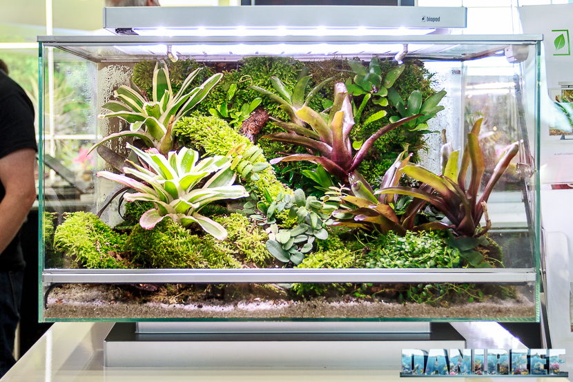 Vista frontale del Biopod TERRA in un allestimento di sole piante 2016_05-interzoo-norimberga-biopod-490