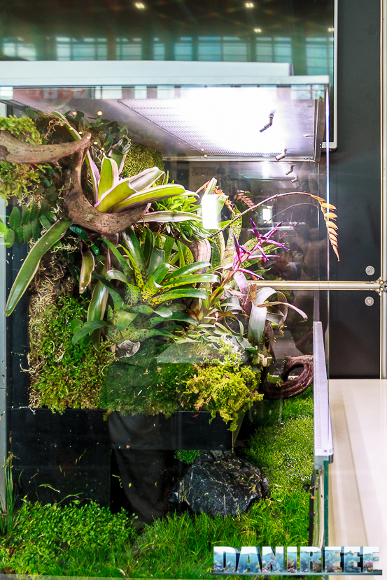 Il Biopod visto lateralmente mette in evidenza la proprio "Living Wall" 2016_05-interzoo-norimberga-biopod-496