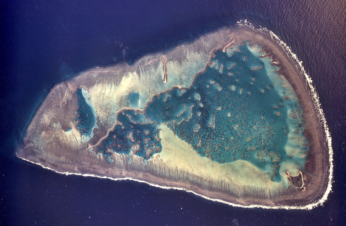 one-tree-aerial-photo