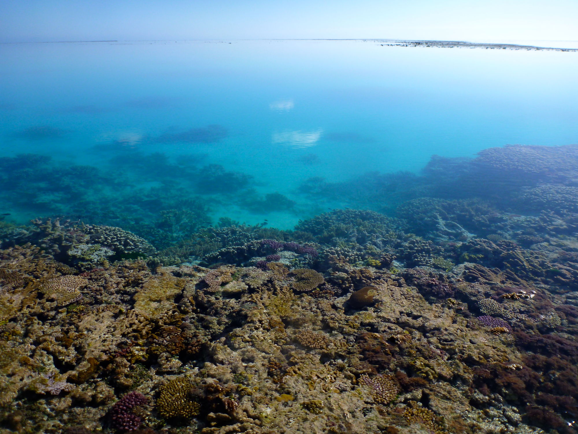 reef-flat-to-lagoon-2-1