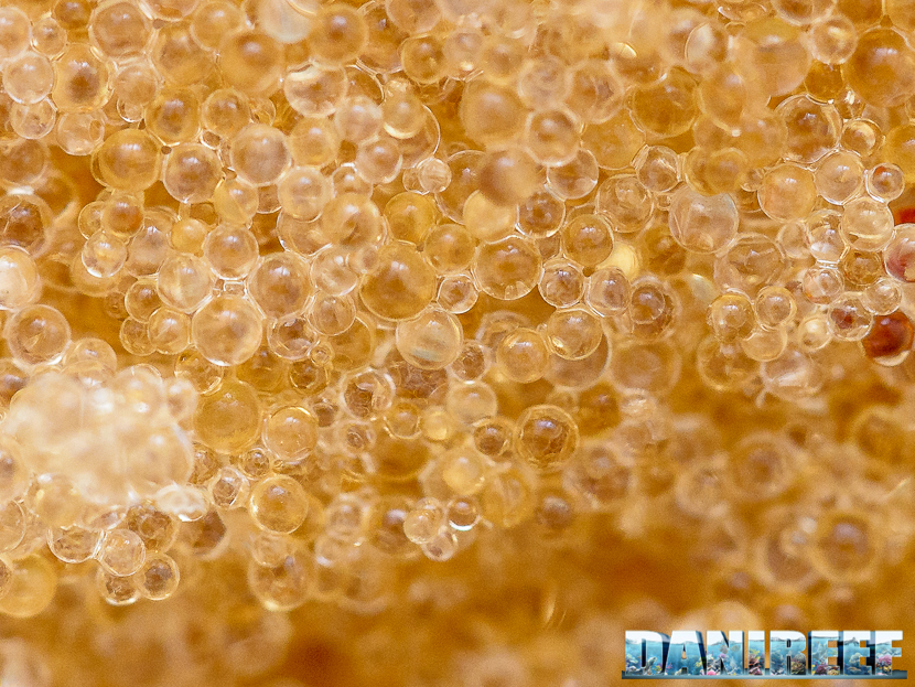 Resina Deionizzante Deion Extra Strong per impianti di osmosi