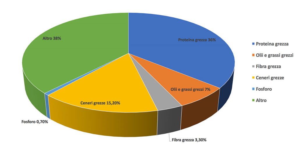 Mangime granulare alghe Seaweed Extreme: analisi nutrizionale