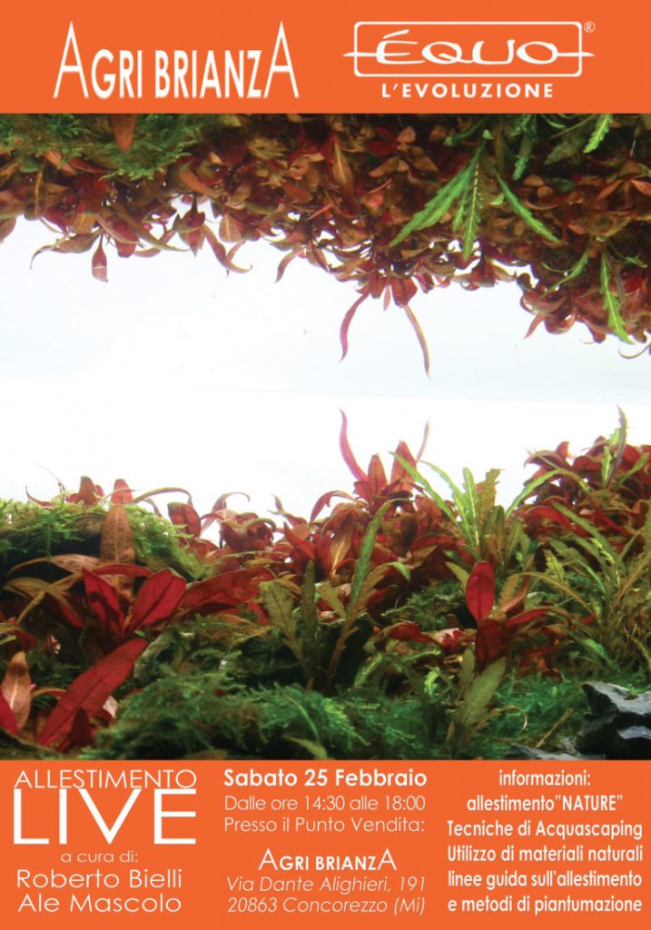 aquascaping live ad AgribrianzA con Roberto Bielli ed Ale Mascolo