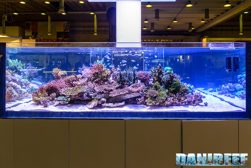 L'incredibile acquario arredato da Hobby Acquari presso lo stand OceanLife. L'attrazione più bella del mondo acquariofilo L'incredibile acquario arredato da Hobby Acquari presso lo stand OceanLife. L'attrazione più bella del mondo acquariofilo