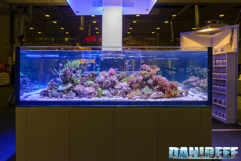 L'incredibile acquario arredato da Hobby Acquari presso lo stand OceanLife. L'attrazione più bella del mondo acquariofilo L'incredibile acquario arredato da Hobby Acquari presso lo stand OceanLife. L'attrazione più bella del mondo acquariofilo