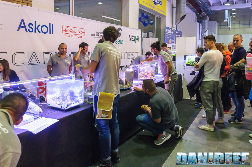 Aquascapers al lavoro al PetsFestival 2017 Aquascapers al lavoro al PetsFestival 2017