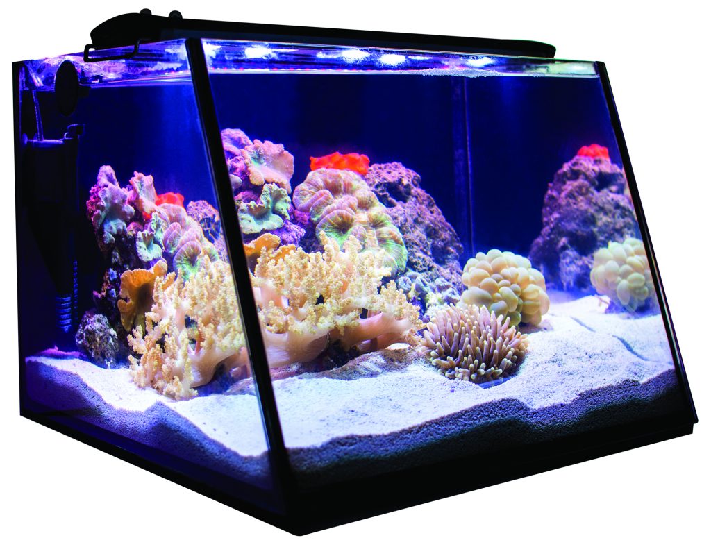 Il Fullview Aquarium presentato da Lifeguard Aquatics nel mockup in versione marina. Il vetro frontale è inclinato per una più agevole visione della vasca. Il Fullview Aquarium presentato da Lifeguard Aquatics nel mockup in versione marina. Il vetro frontale è inclinato per una più agevole visione della vasca.