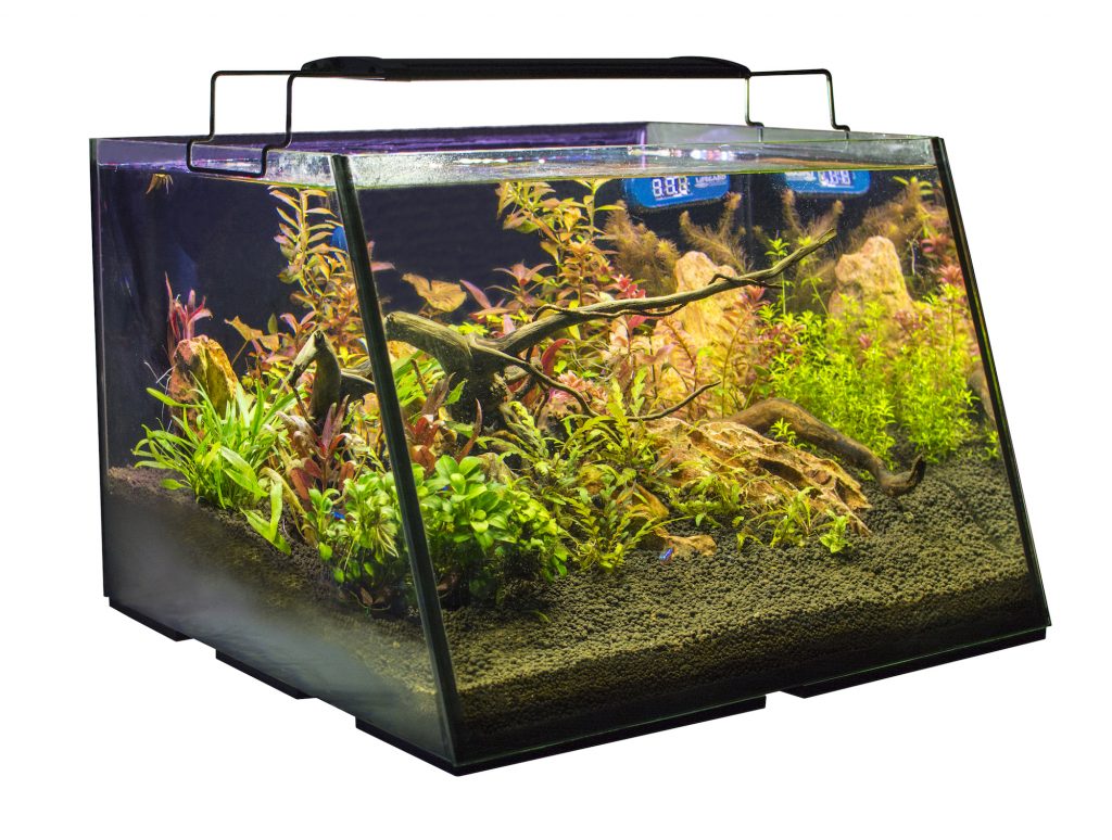 Il mockup in versione acqua dolce del Fullview Aquarium proposto da Lifeguard Aquatics.