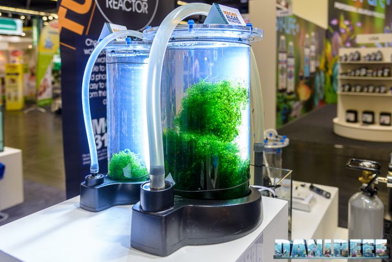5 metodi per alzare il pH in un acquario marino